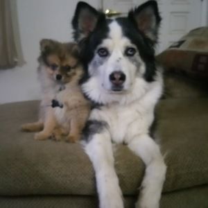 Meet your Posher, Tonya